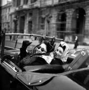 Départ du Rallye Paris Cannes, France, 19 avril 1946:2 femmes dans une voiture décapotable (Rue des Archives) - Muzeo.com