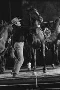 Gregory Peck avec son cheval sur le tournage de 