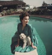 Jean Simmons (Baron) - Muzeo.com