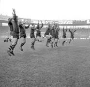 L'équipe d'Australie de rugby surnommée les Kangourous le 18 janvier 1964 (Rue des Archives) - Muzeo.com