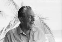 Portrait de Walt Disney (Orlando Suero) - Muzeo.com