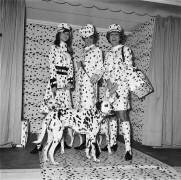 Présentation de la nouvelle mode dalmatienne par Jacques Esterel (Keystone) - Muzeo.com