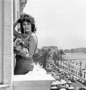 Sophia Loren lors du Festival de Cannes le 13 mai 1959 (Rue des Archives) - Muzeo.com