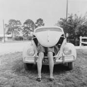 VW Beetle (Michael Ochs) - Muzeo.com