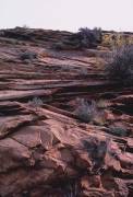 Zion National Park, Springdale, Utah (John Margolies) - Muzeo.com