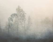 −20 (Åsmund Kværnstrøm) - Muzeo.com