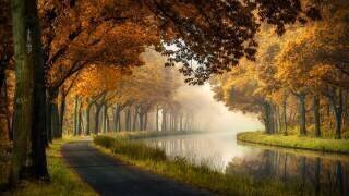 A calm morning (Sus Bogaerts) - Muzeo.com