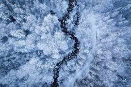A Freezing Cold Beauty (Daniel Gastager) - Muzeo.com