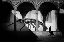 A quiet day of fear (Claudio Moretti) - Muzeo.com