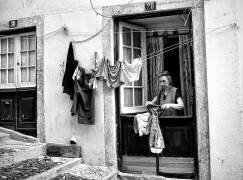 A Quiet Life In The Neighborhood (Fernando Alves ) - Muzeo.com