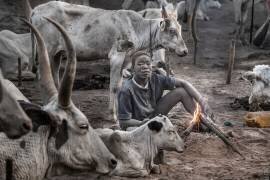 A scene of a Mundari cattle camp-II - South Sudan (Joxe Inazio Kuesta) - Muzeo.com