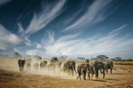 A very long thinking (Mathilde Guillemot) - Muzeo.com