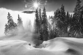Un conte d'hiver ! (Sorin Onisor) - Muzeo.com