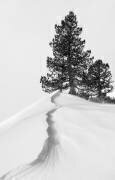 About the snow and forms (Rodrigo Núñez Buj) - Muzeo.com