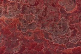Africa Pallete (John Fan) - Muzeo.com