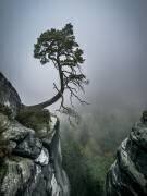 Against the Odds (Andreas Wonisch) - Muzeo.com