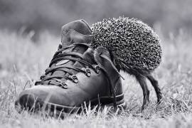 And suddenly it's my size? (Elena Solovieva) - Muzeo.com