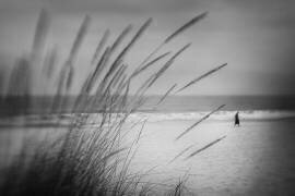 Another Day Fades (Aurora) - Muzeo.com