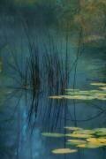 Aqua (Andreas Agazzi) - Muzeo.com