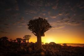 Au lever du soleil (Joanaduenas) - Muzeo.com