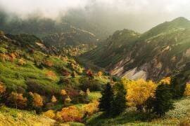 Automne alpin (Yuusuke Hisamitsu) - Muzeo.com