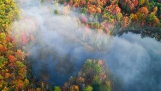 Autumn Symphony I (John Fan) - Muzeo.com