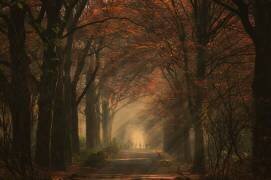Autumn walk (Robert) - Muzeo.com