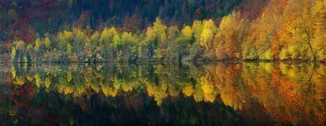 Autumnal silence (Burger Jochen) - Muzeo.com
