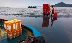 Baie de Shenzhen (Christophe Audebert) - Muzeo.com