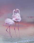 Ballet des flamants roses (Krystina Wisniowska) - Muzeo.com