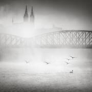 Basilique de Saint Pierre et Saint Paul (Ronny Behnert) - Muzeo.com