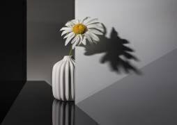 Beautiful and lonely (Evgeniy Popov) - Muzeo.com