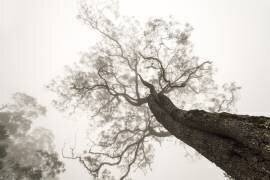 Between Heaven and Earth (Karsten Wrobel) - Muzeo.com
