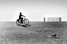 Bicycle Stories (George Digalakis) - Muzeo.com
