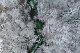 Blejski vintgar, Slovenia (Jure Kravanja) - Muzeo.com