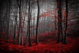 Bloody River (Samanta Krivec) - Muzeo.com