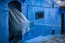 Blowing in the wind (Linda Wride) - Muzeo.com