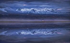 Blue silence (Peter Svoboda MQEP) - Muzeo.com