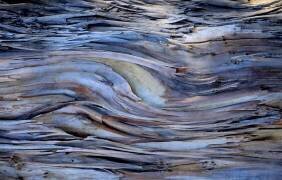 Blue Wave Abstract (Robin Wechsler) - Muzeo.com