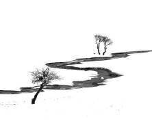 Les deux côtés de la rivière (Payman Mollaie) - Muzeo.com