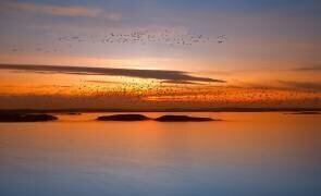 By sunset (Piotr Krol (Bax)) - Muzeo.com