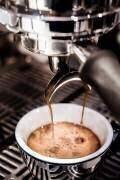 Café 002 (1x Studio III) - Muzeo.com
