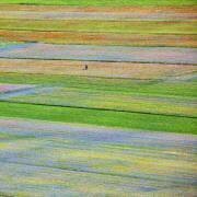 Castelluccio 5 (Massimo Della Latta) - Muzeo.com