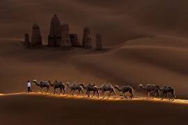 Castle and Camels (Mei Zu) - Muzeo.com