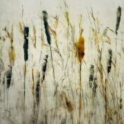 Cattail and reeds (Nel Talen) - Muzeo.com