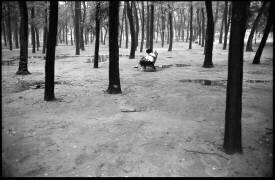 La Chine dans les années 70 (Bruno Barbier) - Muzeo.com