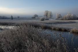 Cold (Nina Pauli) - Muzeo.com