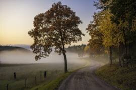 Countryside vibes (Christian Lindsten) - Muzeo.com