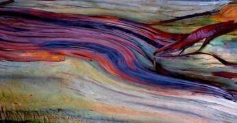 Cutting through the rocks (Robin Wechsler) - Muzeo.com