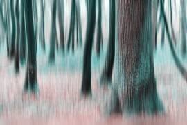 Dancing Trees (Michael) - Muzeo.com